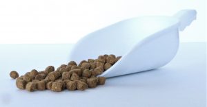 Enam Papa Tilapia Grower