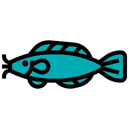 Catfish Icon